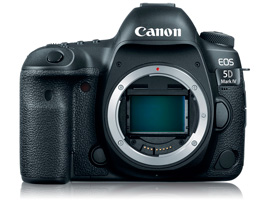 Best prime lenses for the Canon EOS 5D Mk IV: Recommendations for architecture, portrait, and wildlife photography