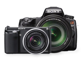 Sony annonces the NEX-F3 and the SLT A-37