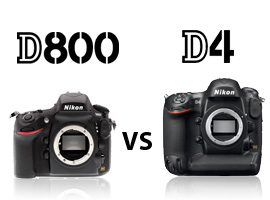 Nikon D800 vs Nikon D4