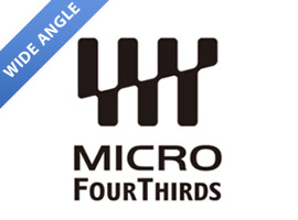 Wide-angle micro 4/3 lens reviews