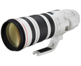 Canon EF 200-400mm f/4L IS USM Extender 1.4x ON