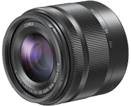 Panasonic LUMIX G VARIO 35-100 / F4.0-F5.6 ASPH. / MEGA O.I.S.