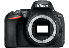 Nikon D5600 - DXOMARK