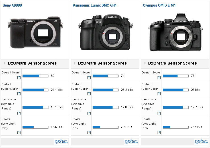 preocupación Fracción Confinar Sony A6000 sensor review: Little wonder - DXOMARK