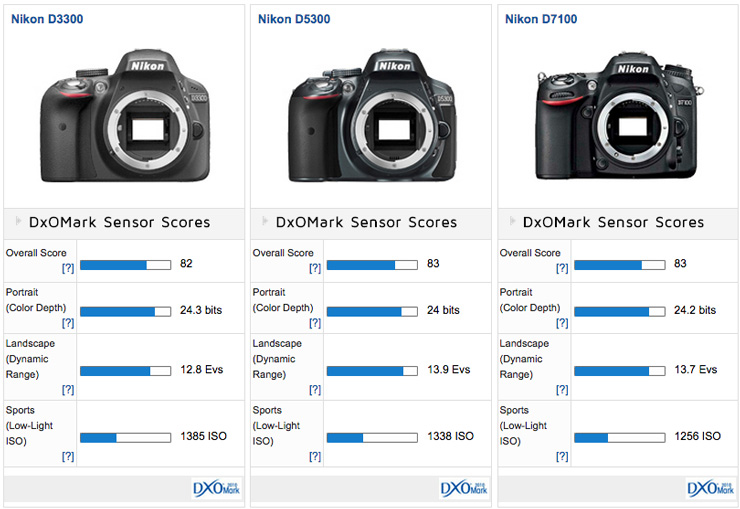 Nikon D5500 Preview: First Nikon DX format DSLR with a touch screen LCD