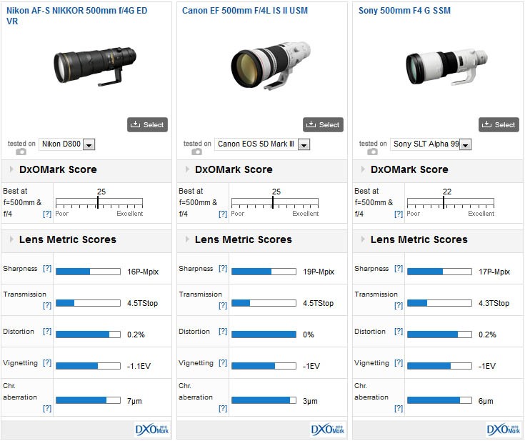 Nikon AF-S Nikkor 500mm - Versus