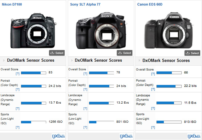 Nikon_D7100_comparison1
