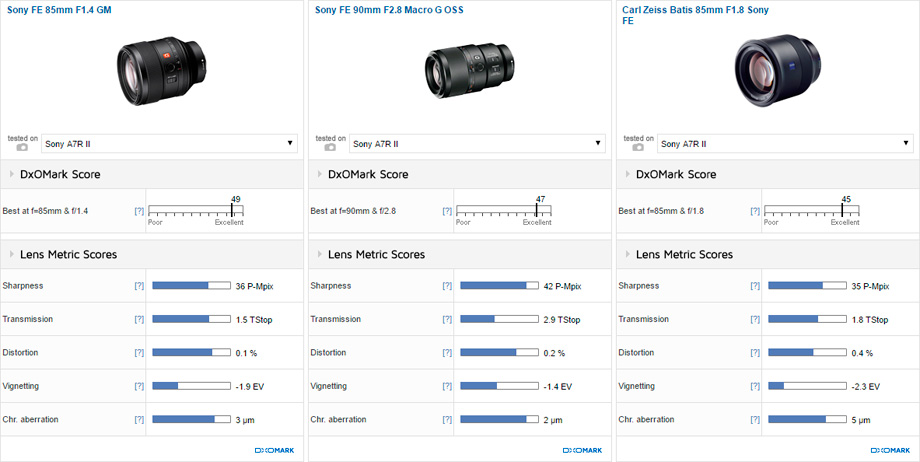 Best portrait prime lens: Sony FE 85mm f/1.4 GM