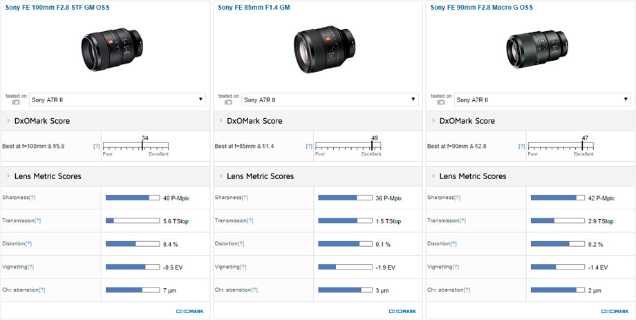 Sony FE 100mm F2.8 STF GM OSS vs Sony FE 85mm F1.4 GM vs Sony FE 90mm F2.8 Macro G OSS