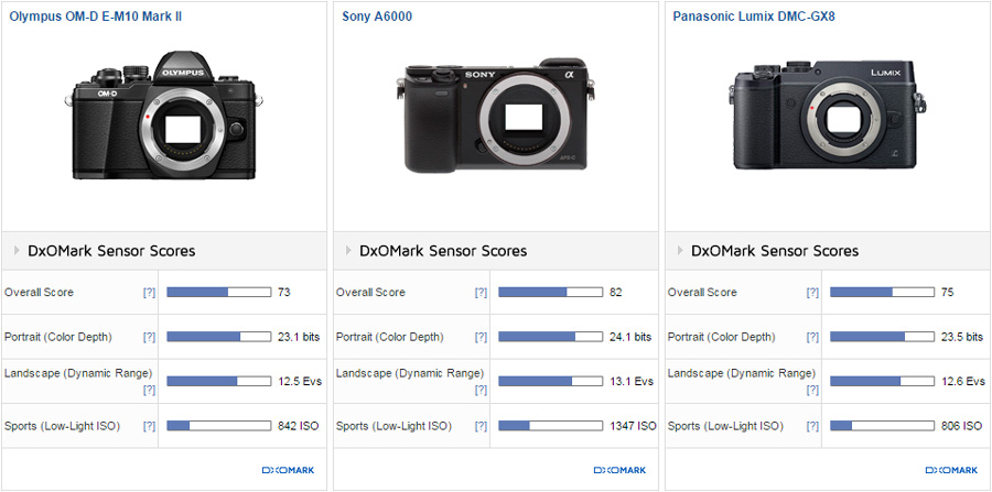 Mijlpaal prijs marmeren Olympus OM-D E-M10 II sensor review: Solid performer