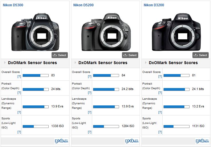 Bemærk Afgift Klassificer Nikon D5300 review: Filter-less DSLR with promise - DXOMARK