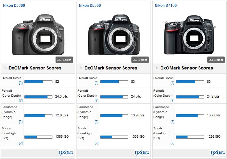 Zakenman zanger genetisch Nikon D3300 sensor review: Revised entry-level model - DXOMARK