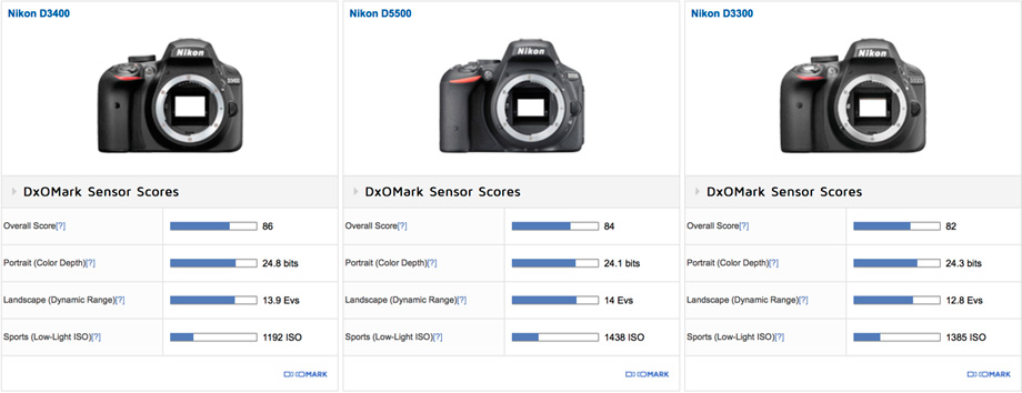 Nikon D3500 vs Nikon D3300