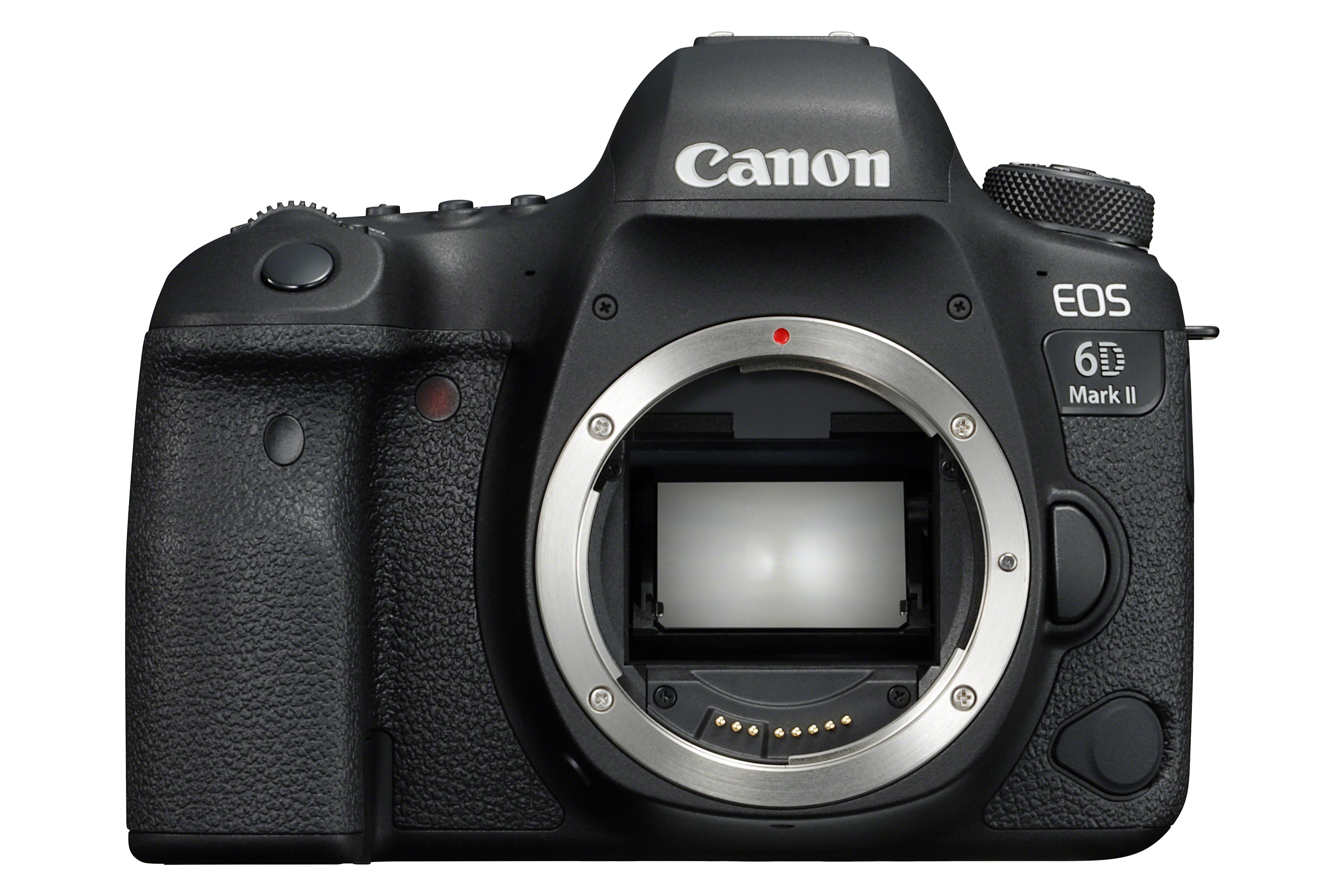 Mogelijk Bewustzijn Dierentuin Canon EOS 6D Mark II Sensor Reviews: Great color and ISO performance