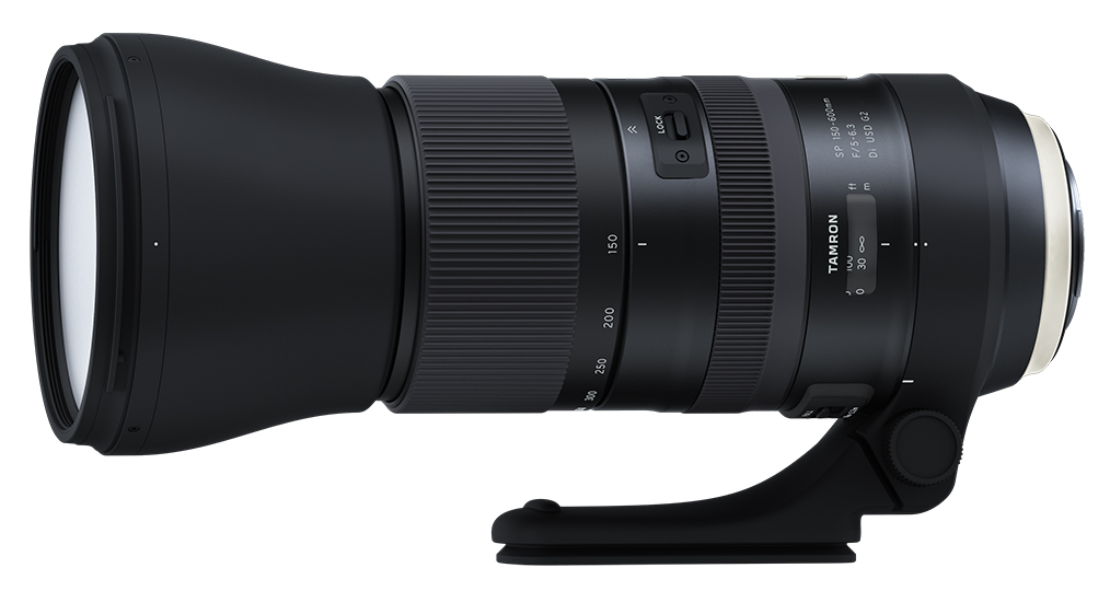 Tamron SP 150-600mm F/5-6.3 Di VC USD G2 review: Affordable tele