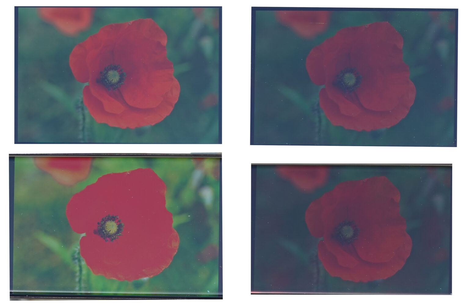 iphone 14 pro max zoom range test