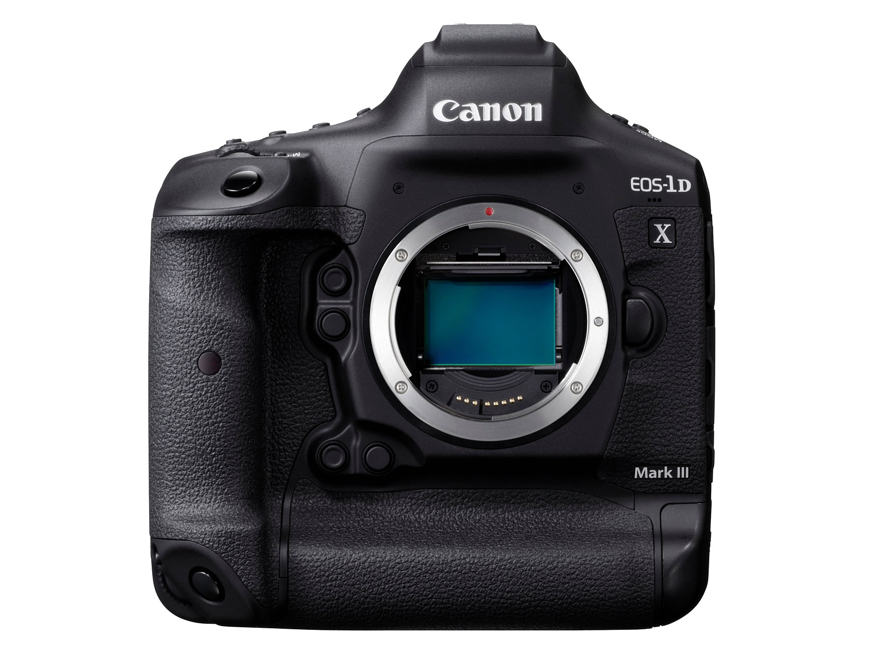 Canon EOS-1D X Mark III Sensor review