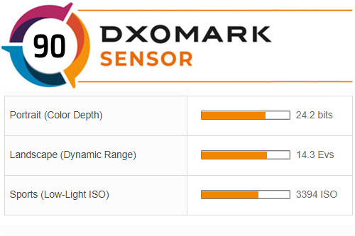 Canon EOS R8 Sensor test - DXOMARK