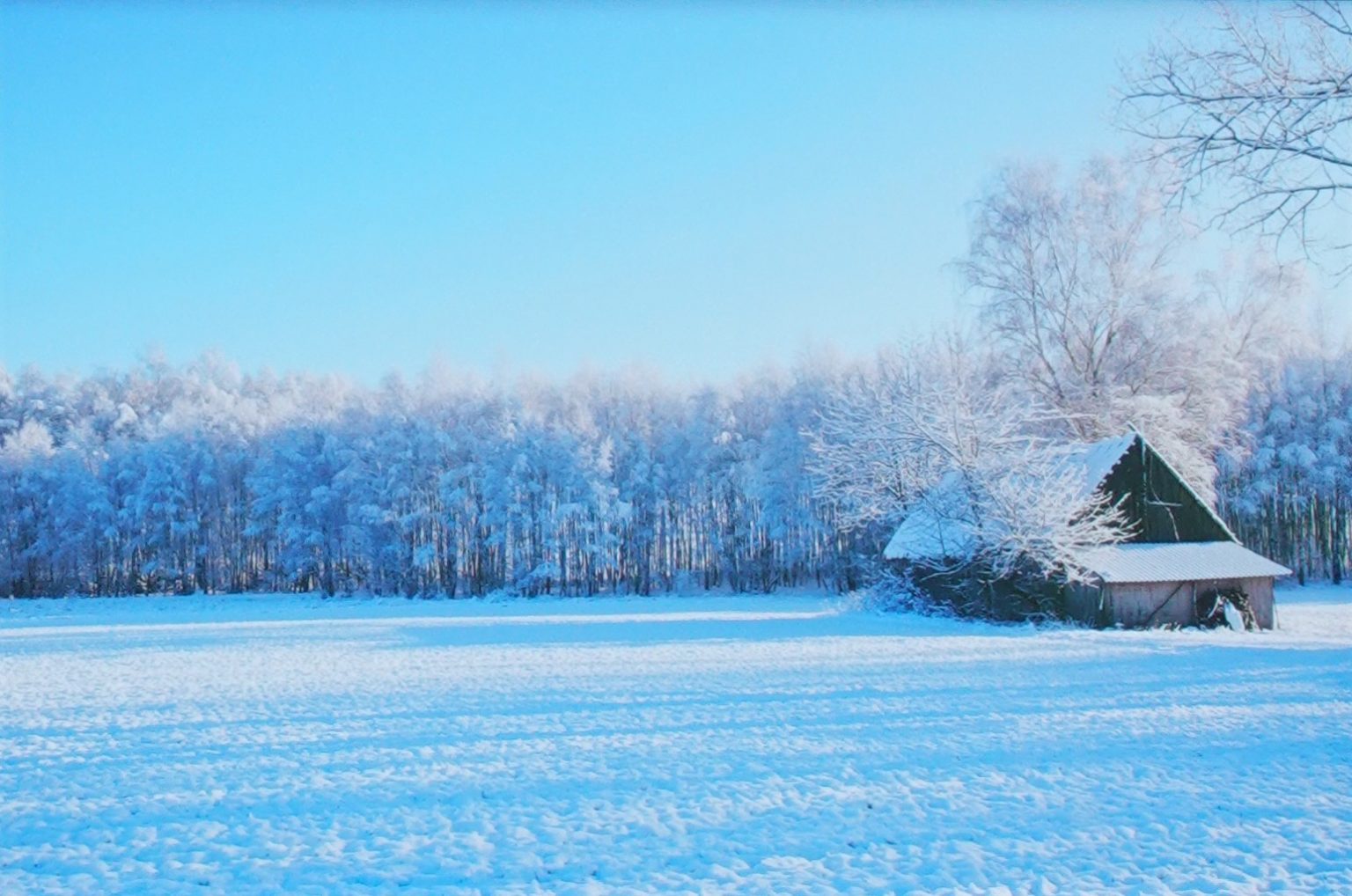 Apple iPhone 12 Display review Familiar in its user friendliness DXOMARK